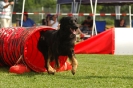  Agilityturnier am 01.07.2006 _211
