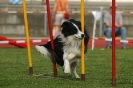  Agilityturnier am 01.07.2006 _212
