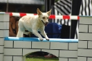  Agilityturnier am 01.07.2006 _215
