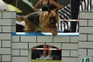 Agilityturnier am 01.07.2006 _251