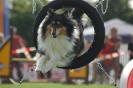 Agilityturnier am 01.07.2006 _253