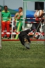  Agilityturnier am 01.07.2006 _256