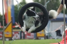  Agilityturnier am 01.07.2006 _381