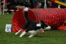  Agilityturnier am 01.07.2006 _382