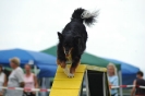  Agilityturnier am 01.07.2006 _384