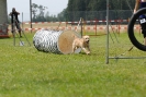 Agilityturnier am 01.07.2007  _448