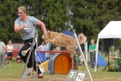 Agilityturnier am 01.07.2007  _874