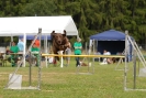 Agilityturnier am 01.07.2007  _875