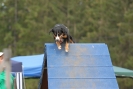Agilityturnier am 01.07.2007  _891