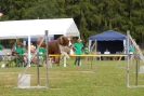 Agilityturnier am 01.07.2007  _893