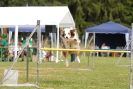 Agilityturnier am 01.07.2007  _896