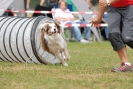 Agilityturnier am 01.07.2007  _899