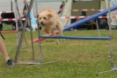 Agilityturnier am 30.06.2007 _194