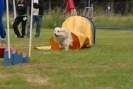 Agilityturnier am 30.06.2007 _198