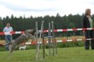 Agilityturnier am 30.06.2007 _353