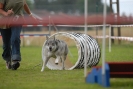 Agilityturnier am 30.06.2007 _356