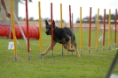 Agilityturnier am 30.06.2007 _359