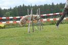 Agilityturnier am 30.06.2007 _377