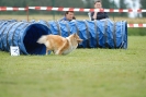 Agilityturnier am 30.06.2007 _386