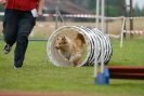 Agilityturnier am 30.06.2007 _387