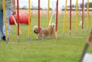 Agilityturnier am 30.06.2007 _389