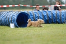 Agilityturnier am 30.06.2007 _390