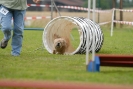 Agilityturnier am 30.06.2007 _391