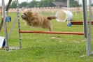 Agilityturnier am 30.06.2007 _392