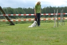 Agilityturnier am 30.06.2007 _408