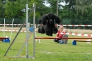 Agilityturnier am 30.06.2007 _529