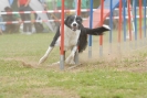 Agilityturnier am 30.06.2007 _554