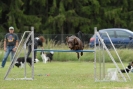 Agilityturnier am 30.06.2007 _557