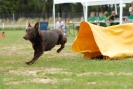 Agilityturnier am 30.06.2007 _558