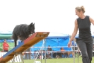 Agilityturnier am 30.06.2007 _621