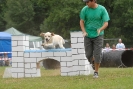 Agilityturnier am 30.06.2007 _632