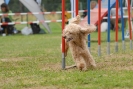 Agilityturnier am 30.06.2007 _705
