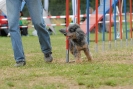 Agilityturnier am 30.06.2007 _711