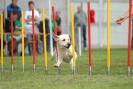 Agilityturnier am 30.06.2007 _826