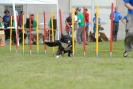 Agilityturnier am 30.06.2007 _829