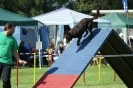 Deutsche Vereinsmeisterschaft Agility am 30./31.08.2008 _113