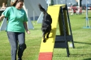 Deutsche Vereinsmeisterschaft Agility am 30./31.08.2008 _120