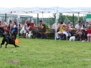 DiscDog-Vorführung bei den Hundefreunden Eggenfelden am 01.06.2008 _202